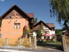  Pensiunea Irina 1 si 2 Zarnesti 1993-2006  Зэрнешти